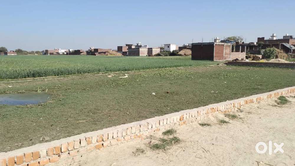 Tri Agro Projects Face 4