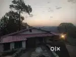 Houses for Rent Available