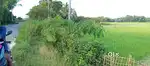 4.5 Bigha Miyadi Patta Land main road side Alenpur Road Borjalenga put