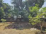 10 Cent Good Residencial Plot Sale Anchumana Obron Mall Edappally.