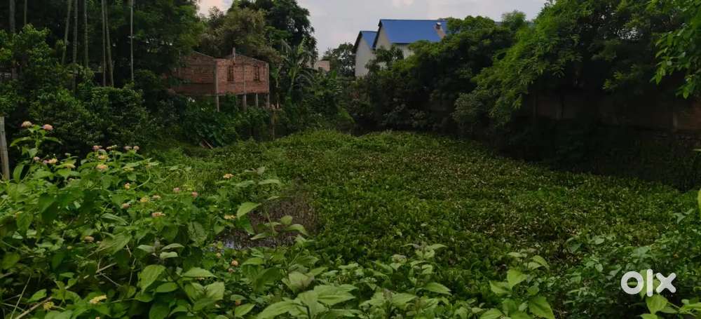 2kotha eksonia residence plot sale at panikhati . Chandrapur road