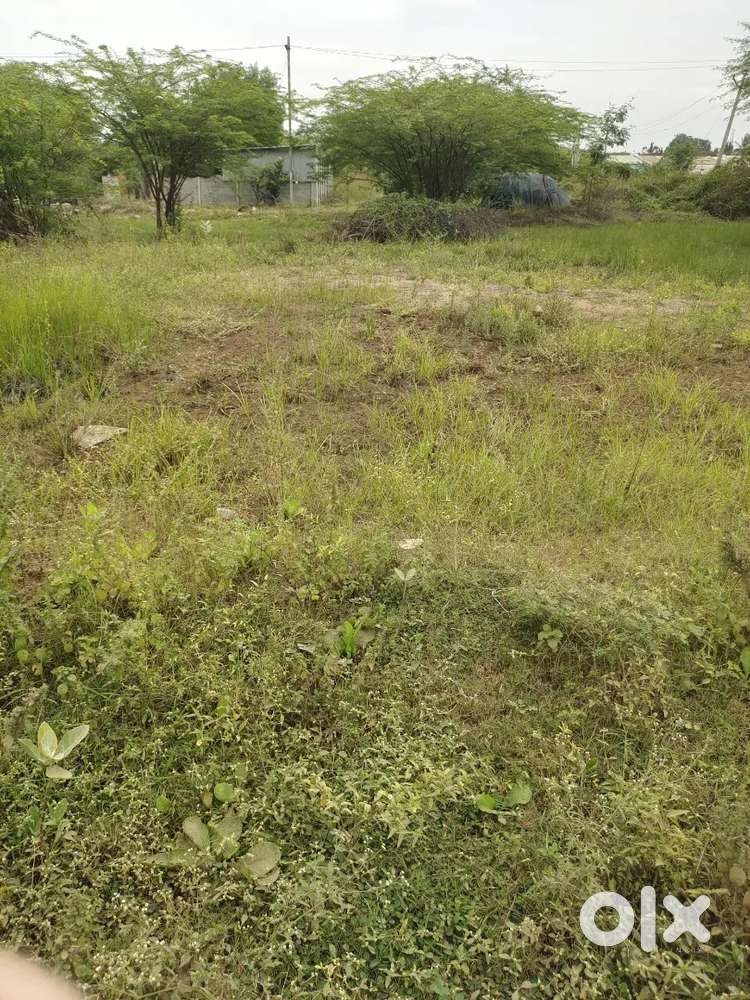 Residencial house site for sale near Main road size50x35
