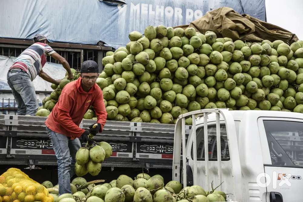 Wanted male coconut loading and maintanence workers good salary