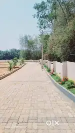 @Pirayiri - 6.96 cent / Spacious - 3 BHK  House For Sale in Palakkad