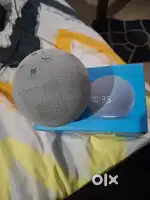 Alexa echo