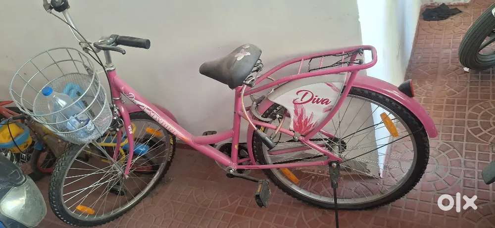 LADY BIRD New by cycle