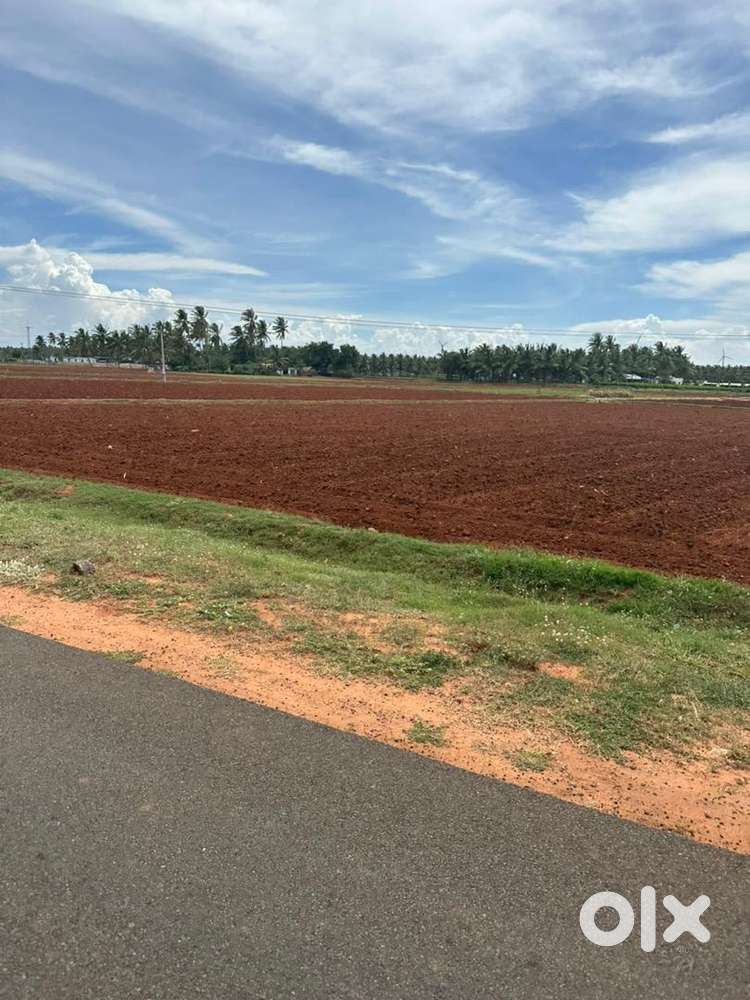 Farm land/farm house/agricultural land