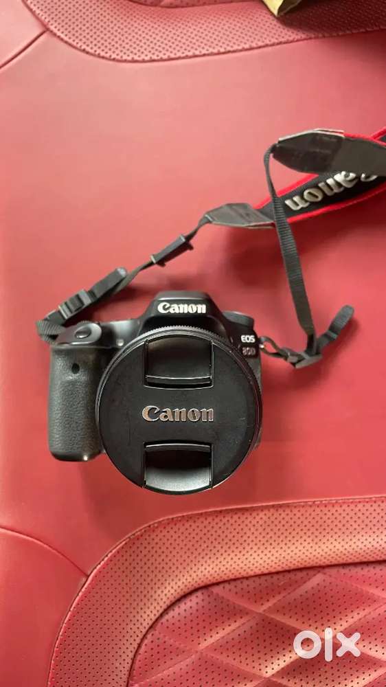 Canon 80D camera & 50mm Canon lens