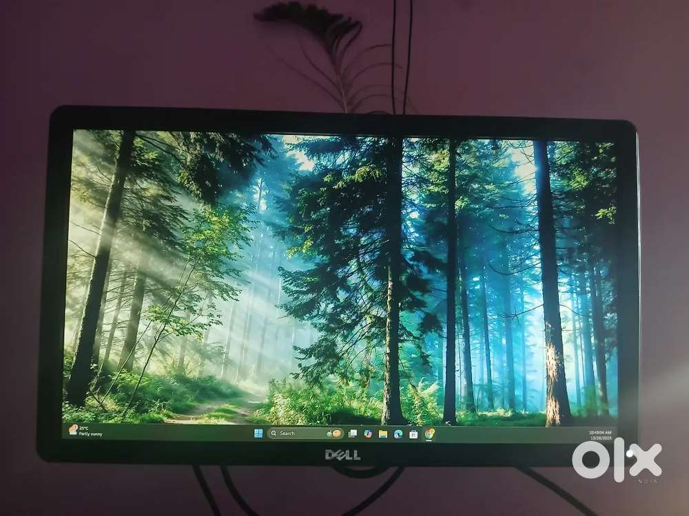 DELL SCREEN