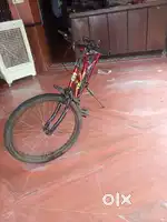 Cycle normal cycle no gyre