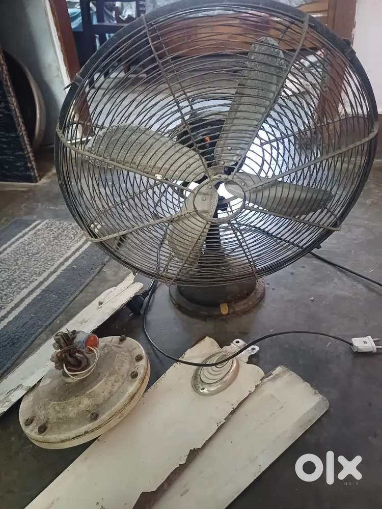 Fan- Table and ceilling