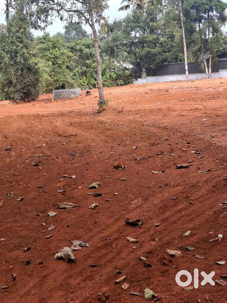 75cents land sale at ponjaserry kizhakambalam road