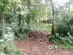 കറുകച്ചാൽ 10 cent house plot.1.35.lakh.