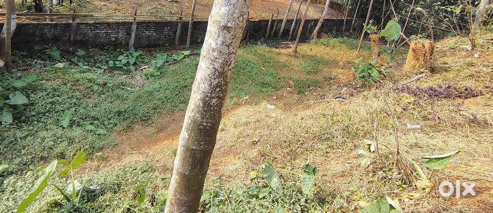 1katha mati , east gotanagar addingiri path