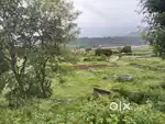 1250 Sq yards Farm House in Panchkula, Near Nature Camp