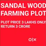 35 ACRES SANDAL WOOD FARMING PROJECT IN ODISHA