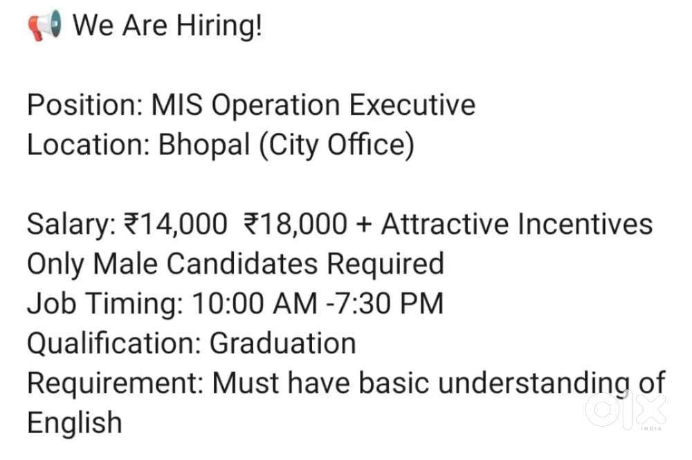 Back office executive