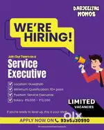 We are Hiring Service executive