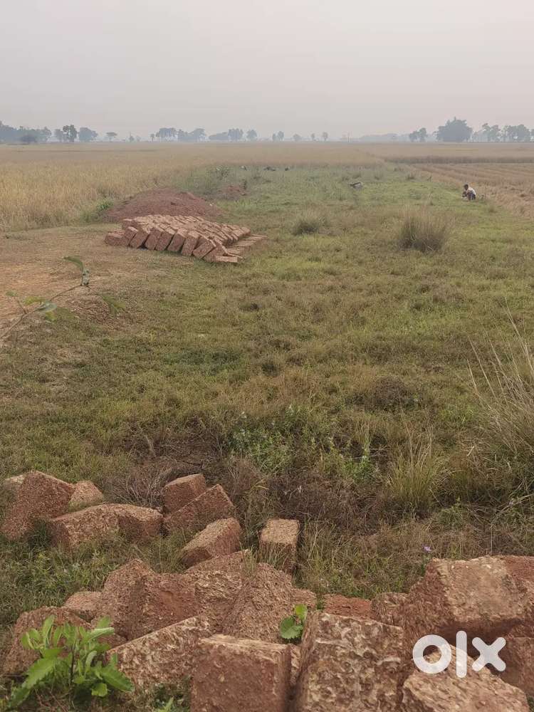 Investment Plot near Tikarapda, Near Panchagaon, Electricity Available