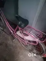 Ladybird bicycle