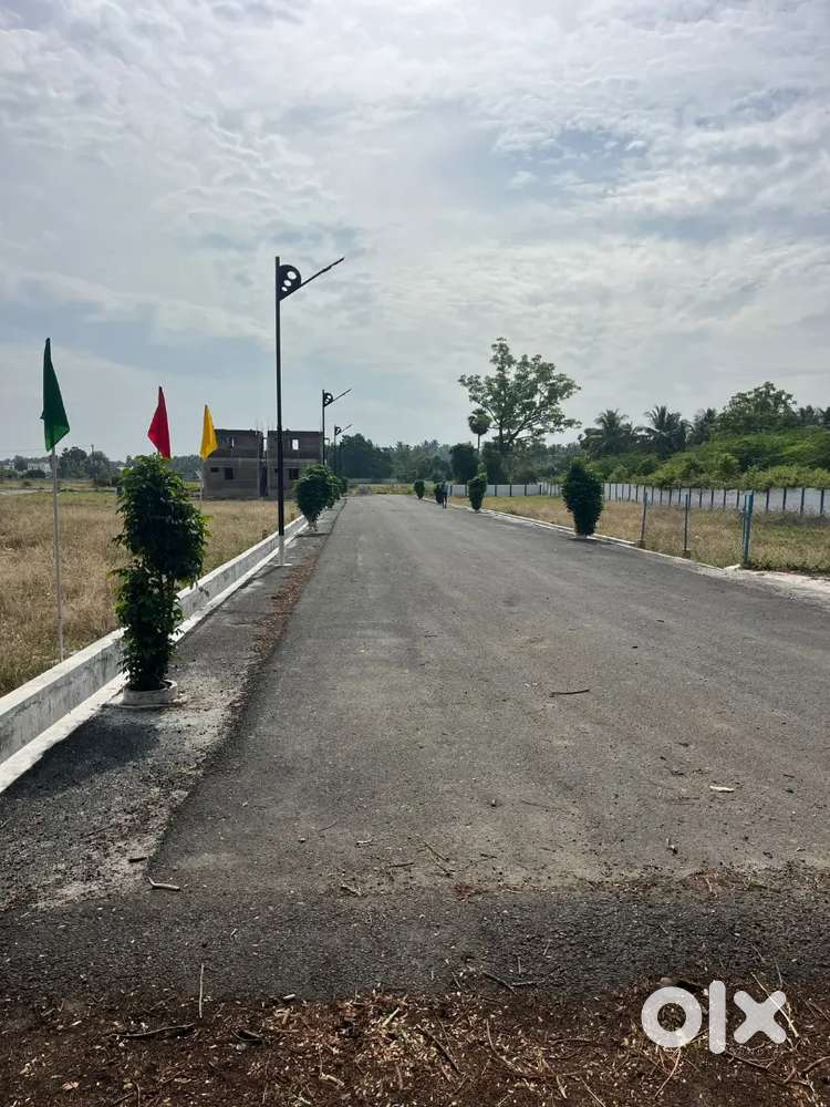 Low Budget DTCP PLOT sale in Periyanaickenmpalayam
