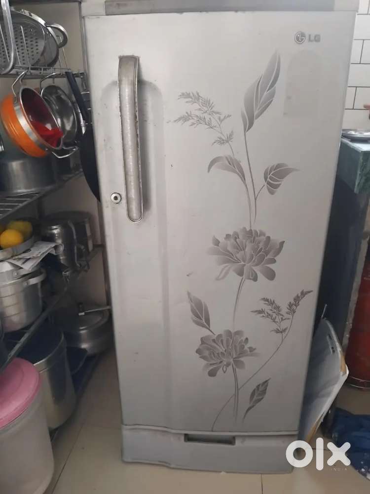 Lg fridge used only for one year we are expecting 2000 rupees and if
