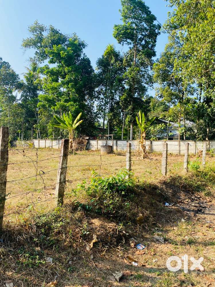 Plot for sale