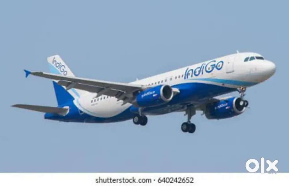 Domestic/International Airport Ground Staff Jobs in Indigo Airlines