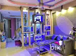 Fully furnished penthouse with garden and glasshouse