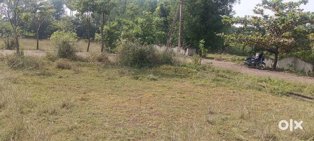 Open plot Near Ramanarayan Temple, Vizianagaram