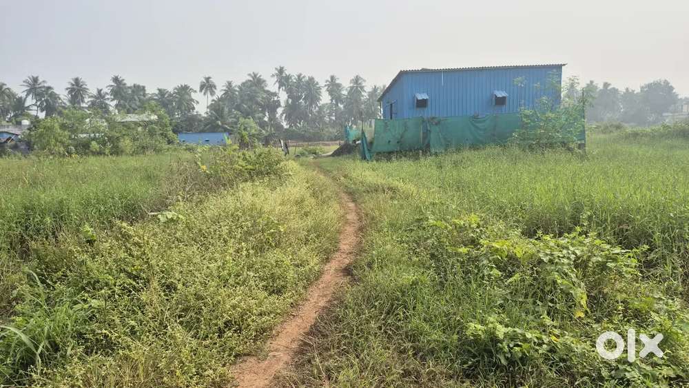 Land in vaddigudem near veeravasaram