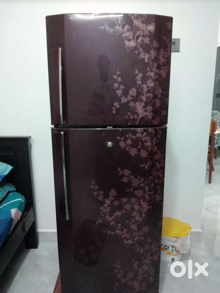 Double Door Fridge