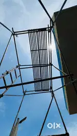 Scaffold ladder
