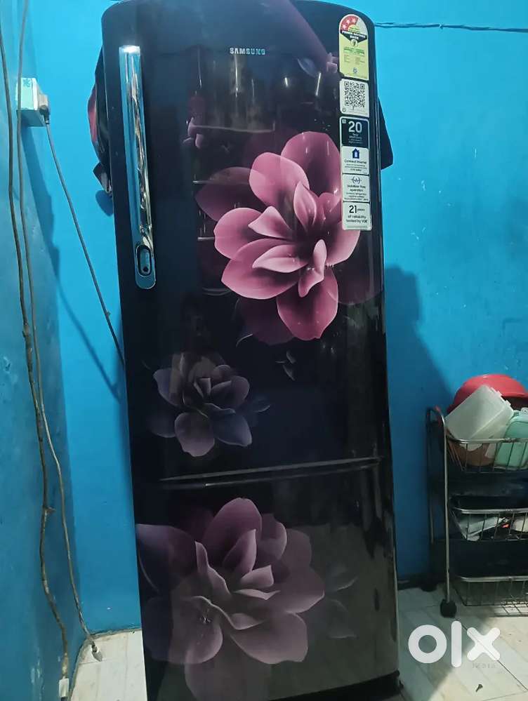 Samsung fridge 3 Star rating