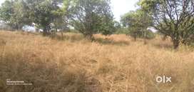 100 Acres plus agricultural land for sale