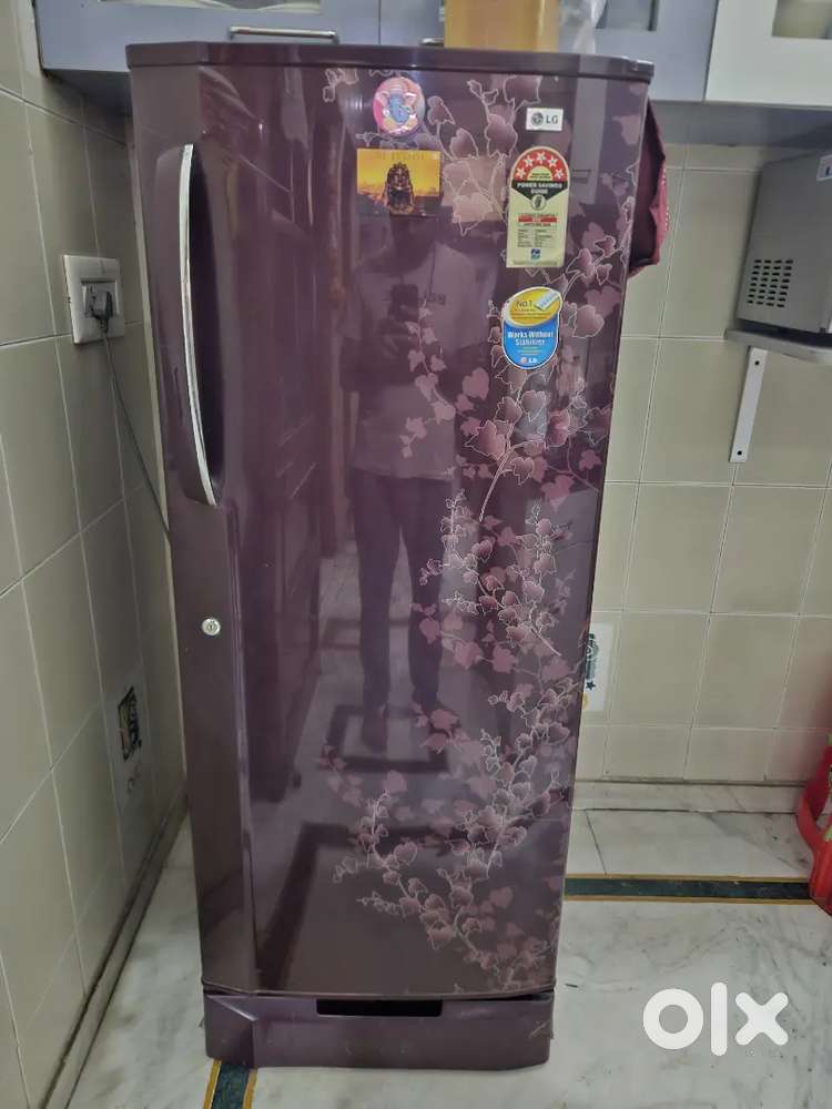 LG Fridge 235 L