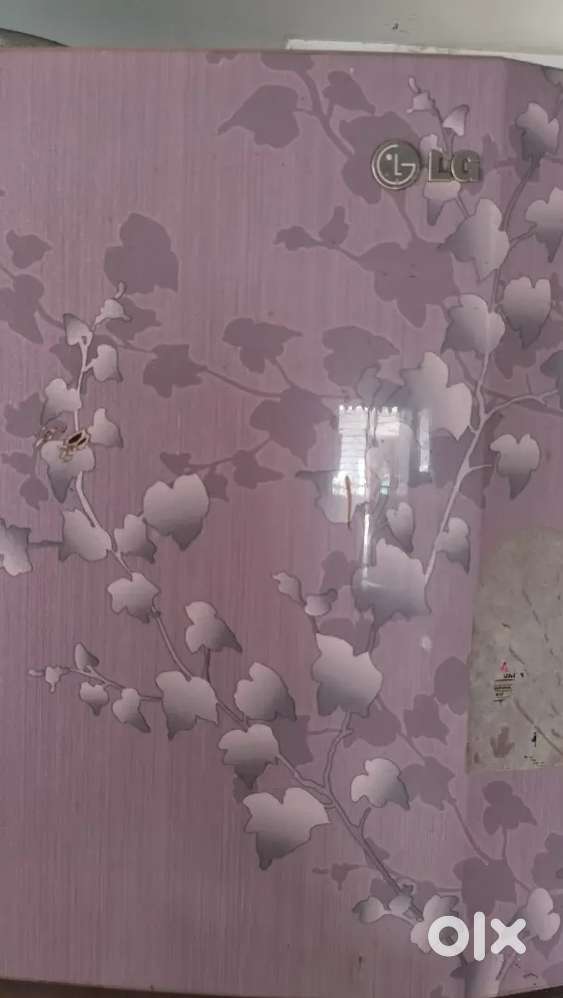 Double door fridge ruining condition