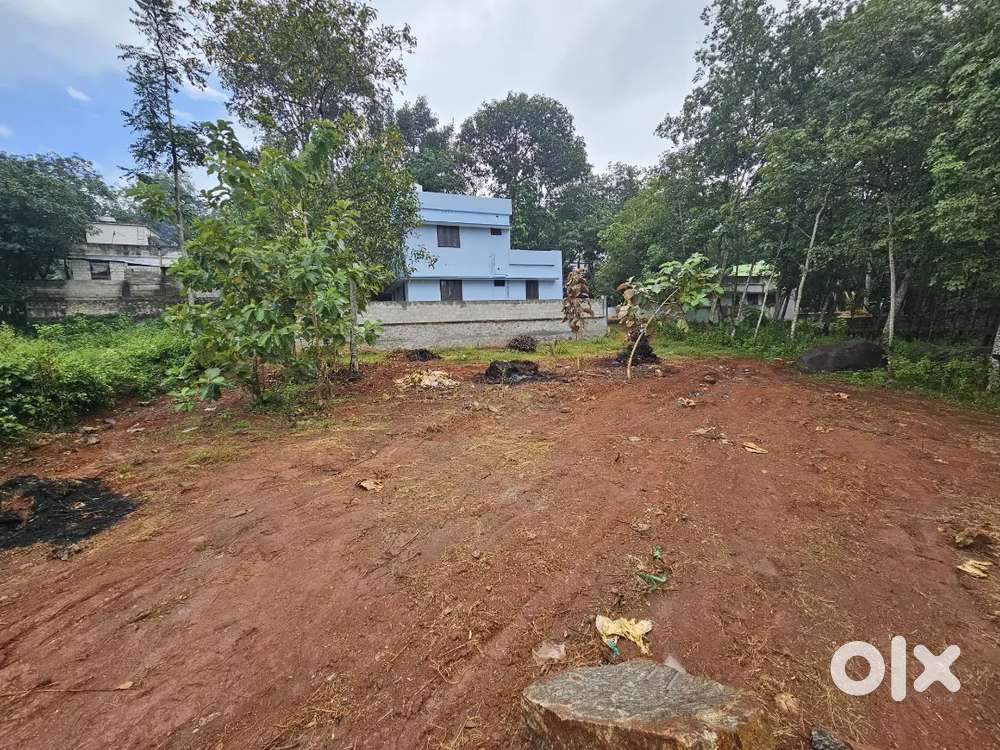 5-10 cent plot in Viricode for sale