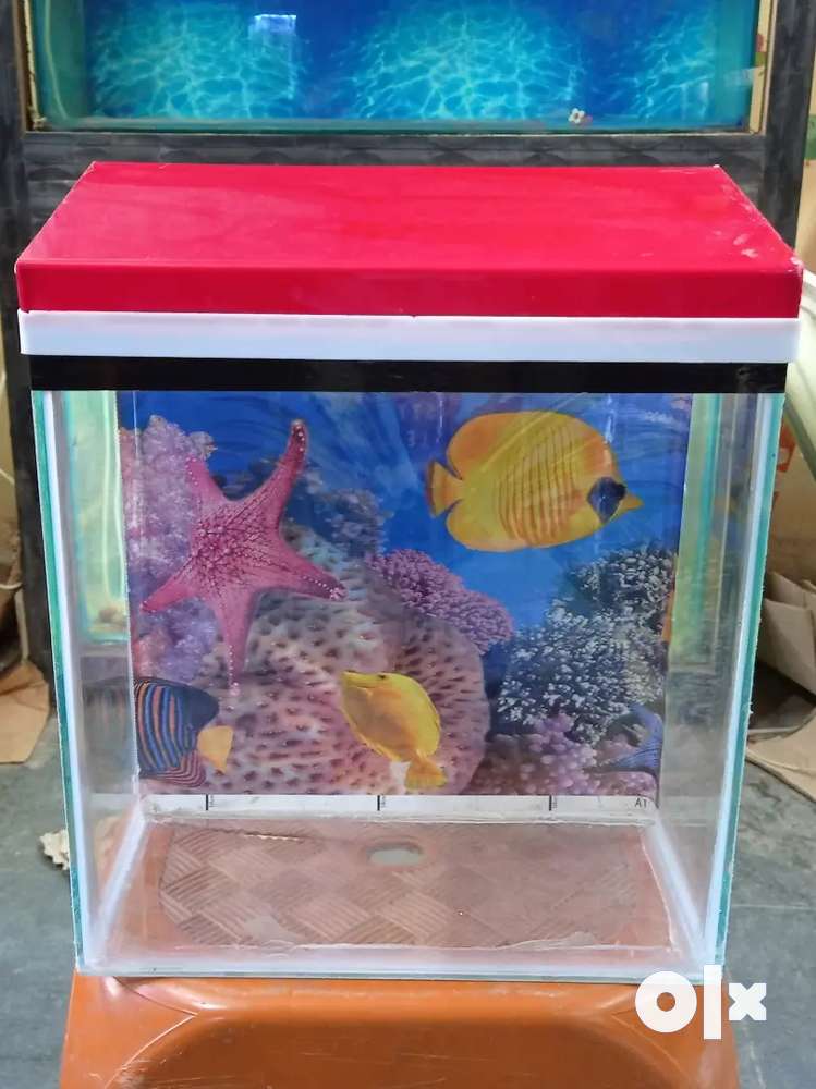 Aquarium Fish Tank [12x6x12]