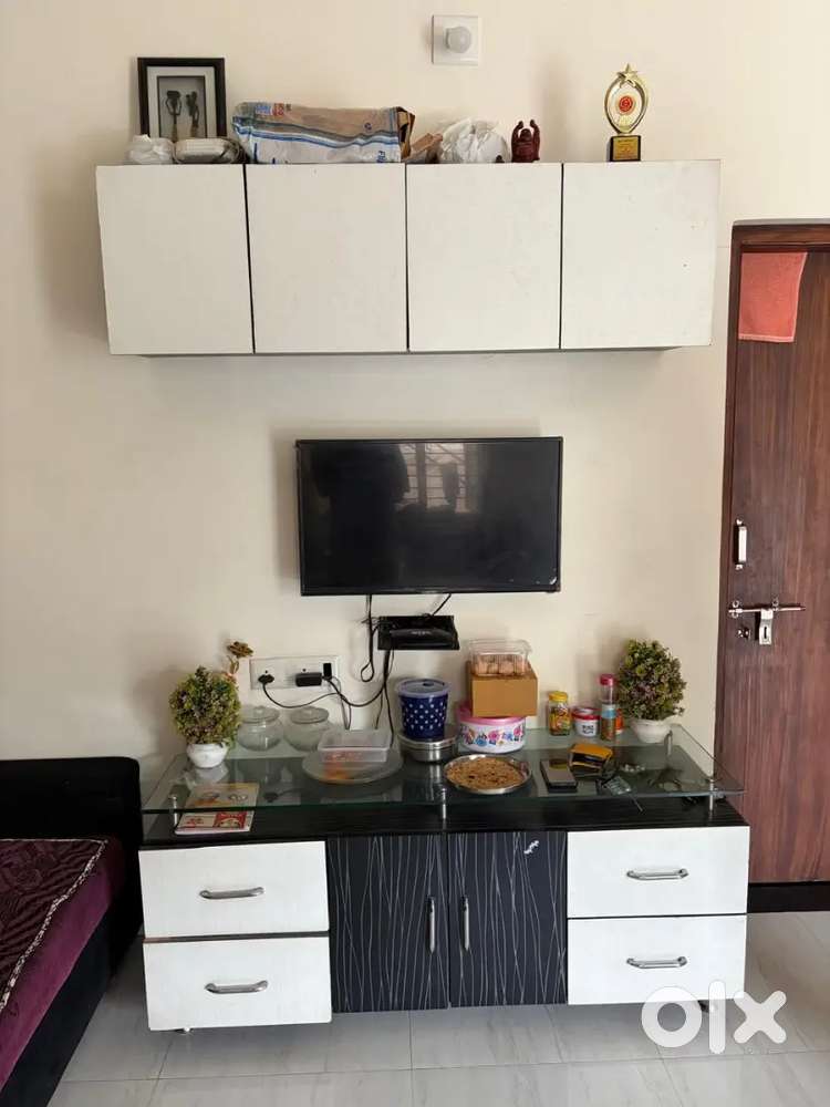 TV unit with storage facility