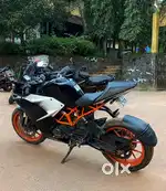 2019 (abs)