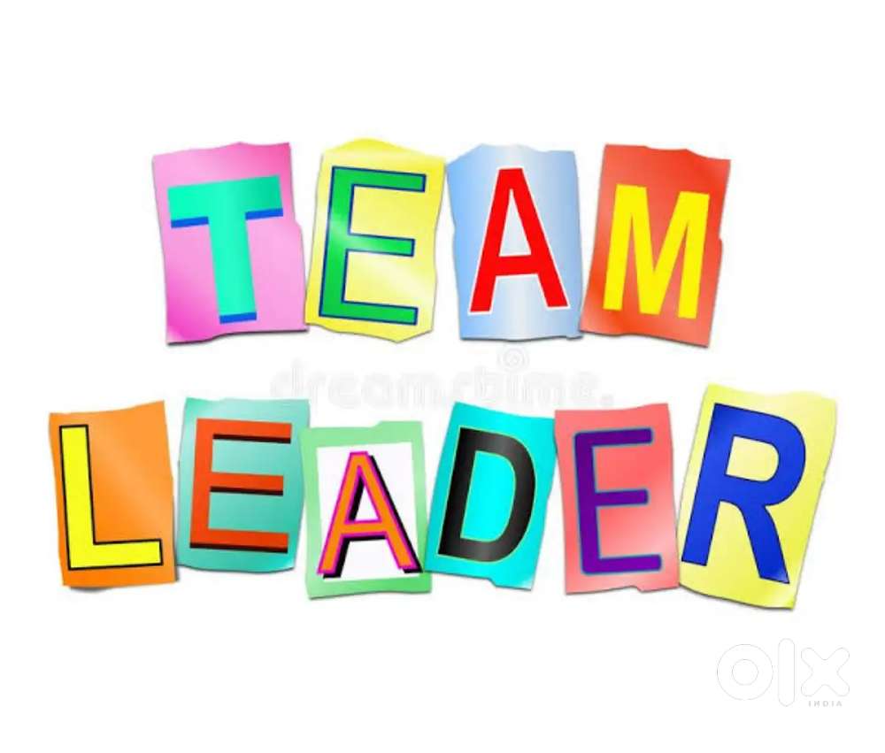 Team Leader