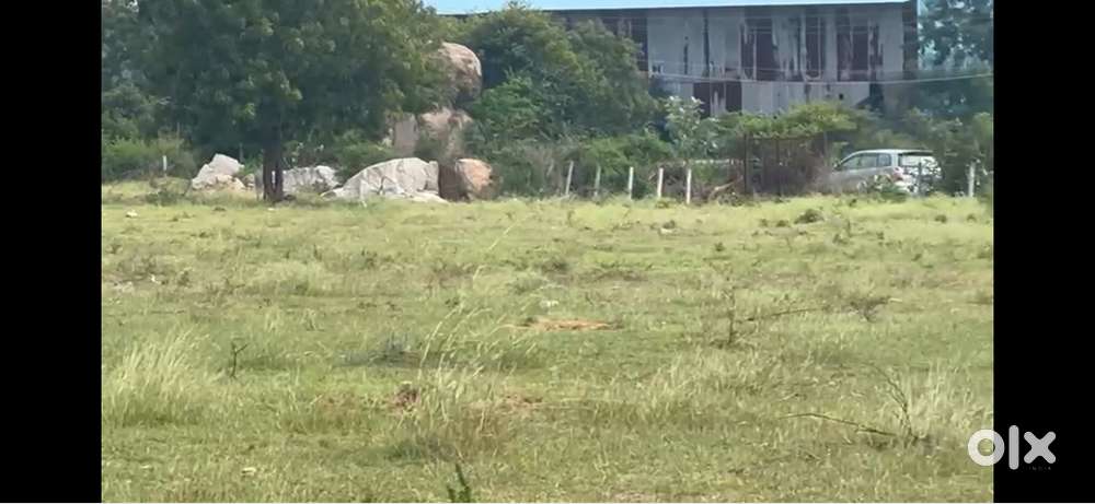 6.5 acres land for sale in Gudur kandukur mandal