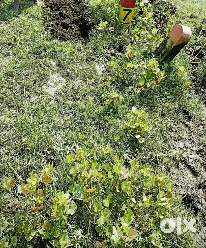 Premium location Residential plot for sale