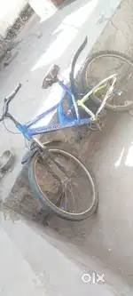 1 no cycle