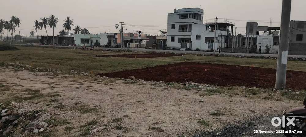 Location:- KANKIPADU CLOSE TO ORR & HOUSE'S READY FOR CONSTRUCTION