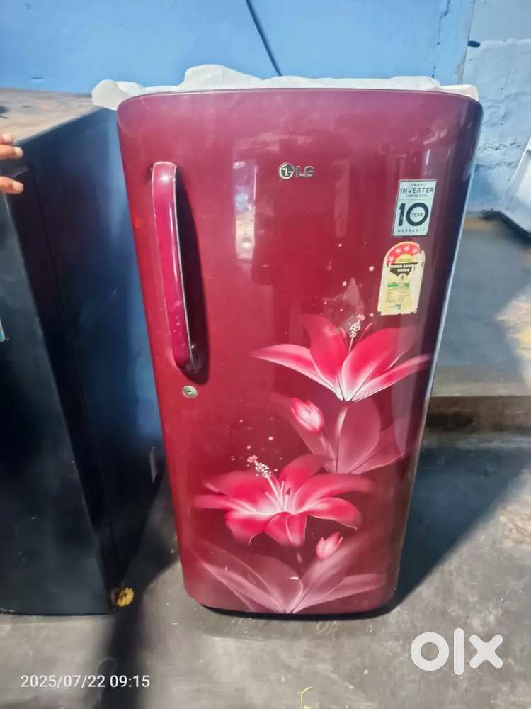 LG fridge inverter