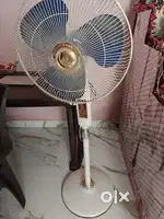 Pedestal fan for home use