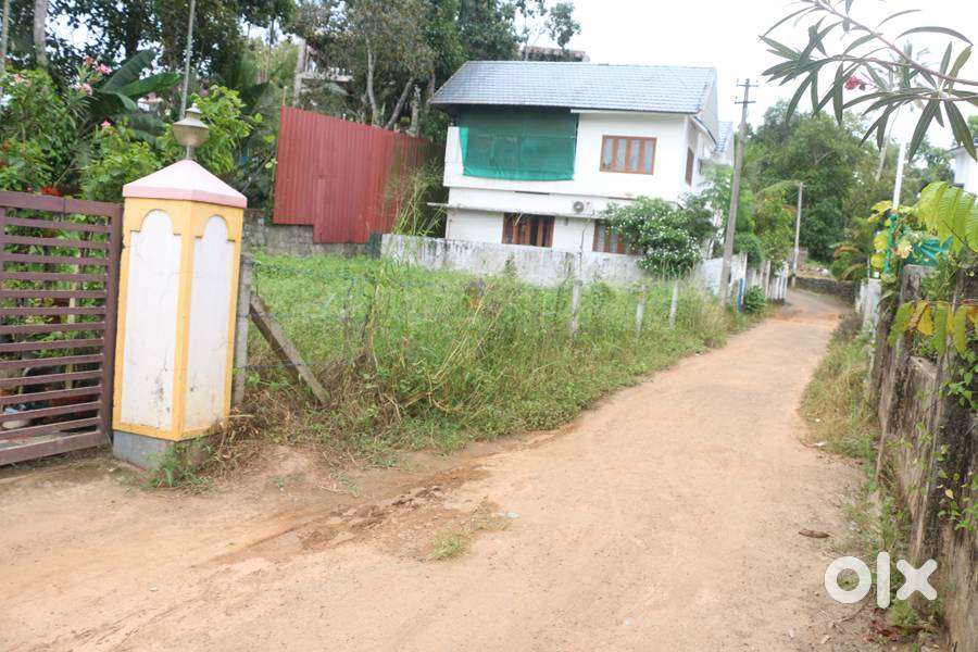 House plot 7.25 cent 2 nd plot of Athirampuzha road 3.75 lakh/cent