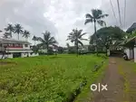 4 cent House plot for sale near UC College Aluva